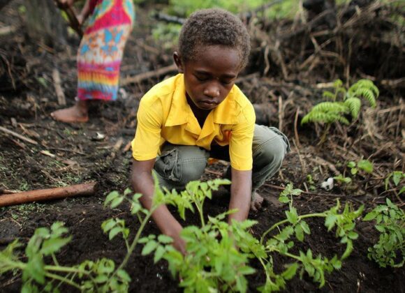 Enhancing Climate Change Education for a Sustainable Future