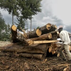 Ironies of Environmental Policy in Kenya