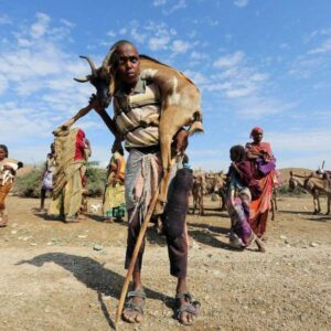 Climate crisis reality in Africa