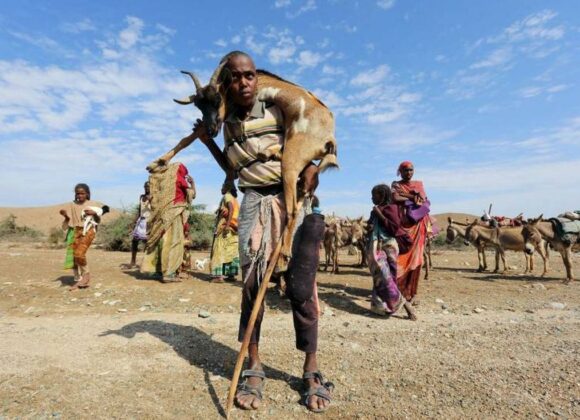 Climate crisis reality in Africa