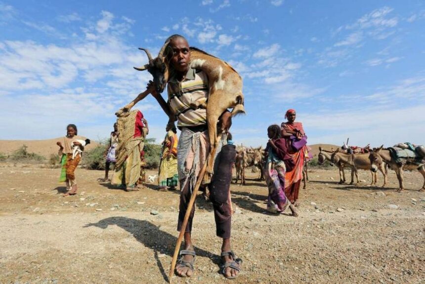 Climate crisis reality in Africa