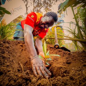 The Treellions Campaign: Small Conversations, Growing Forests