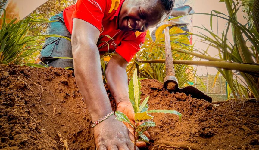 The Treellions Campaign: Small Conversations, Growing Forests