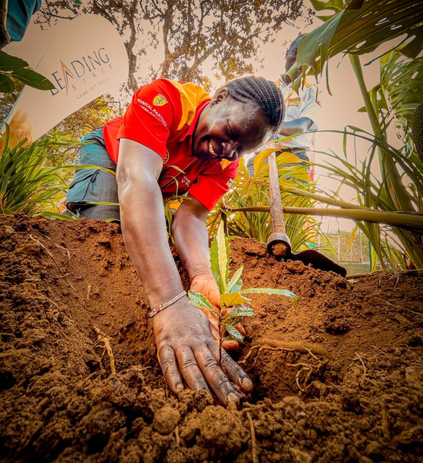 The Treellions Campaign: Small Conversations, Growing Forests